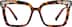 Square Glasses 2047025 in Tortoiseshell