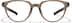 Zunnies - Cat-eye Sports Glasses 2049515 in Brown