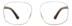 Square Glasses 206725 in Tortoiseshell