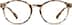 Round Glasses 206825 in Tortoiseshell