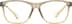 Square Glasses 208012 in Brown