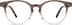 Round Glasses 208415 in Brown