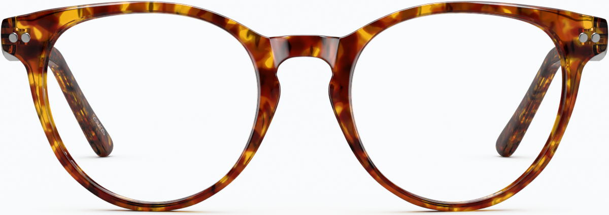 Front view of Round Glasses 208425 in Tortoiseshell thumbnail