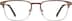 Browline Glasses 3211815 in Brown