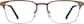 Front view of Browline Glasses 3211815 in Brown thumbnail