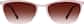 Image of Rectangle Glasses thumbnail