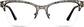 Front view of Cat-Eye Glasses 3220621 in Black thumbnail