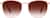 Image of Square Glasses thumbnail