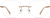 Front view of Rimless Glasses 3234415 in Brown thumbnail