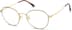 Round Glasses 3238725 in Tortoiseshell