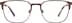 Square Glasses 3240815 in Brown