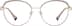 Round Glasses 3241415 in Ecru