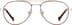 Aviator Glasses 3245118 in Red