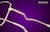 Image of Serpent Sage thumbnail