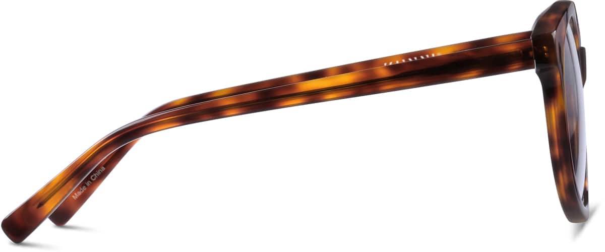 Side view of Round Glasses 4412425 in Tortoiseshell