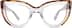 Cat-Eye Glasses 4412623 in Clear