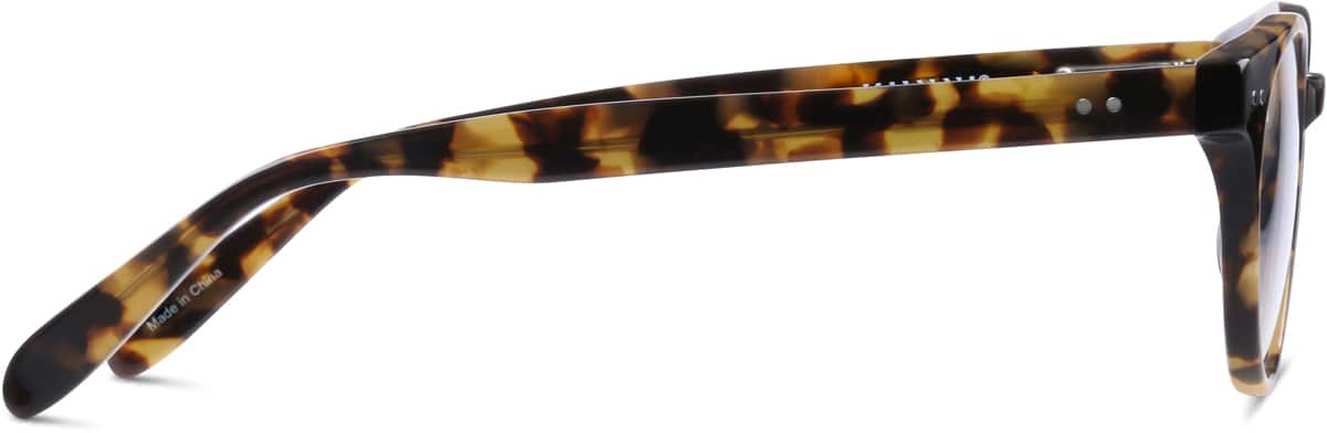 Side view of Round Glasses 4412725 in Tortoiseshell