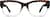 Front view of Alamere Glasses 4413835 in Tortoiseshell thumbnail