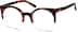 Browline Glasses 4414425 in Tortoiseshell