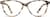 Front view of Cat-Eye Glasses 4415135 in Ivory Tortoiseshell thumbnail