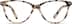 Cat-Eye Glasses 4415135 in Ivory Tortoiseshell