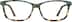 Rectangle Glasses 4417324 in Green