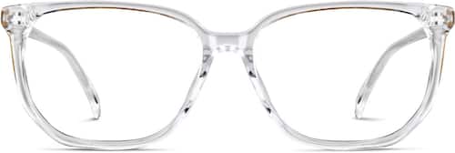 Clear Rectangle Glasses