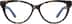 Oval Glasses 4425139 in Tortoiseshell