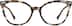 Cat-Eye Glasses 4427339 in Tortoiseshell