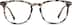 Square Glasses 4427439 in Tortoiseshell