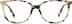 Square Glasses 4427835 in Ivory Tortoiseshell