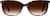Image of Square Glasses thumbnail