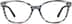 Square Glasses 4430115 in Smokey Topaz/Blue