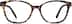 Square Glasses 4430125 in Tortoiseshell