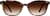 Image of Square Glasses thumbnail