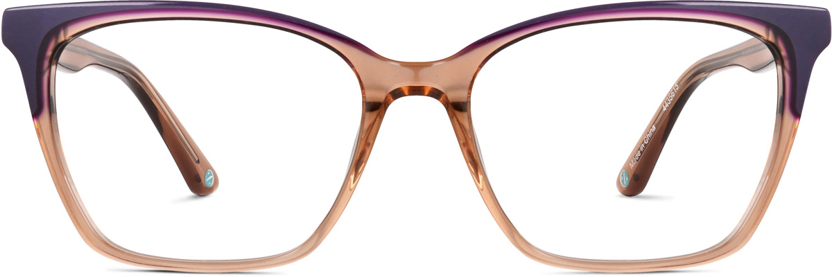 Brown and Purple Cat-Eye Glasses