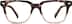 Square Glasses 4436025 in Tortoiseshell