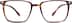 Square Glasses 4436415 in Classic Tortoiseshell