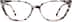 Cat-Eye Glasses 4437939 in Ivory Tort