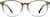 Front view of Square Glasses 4438529 in Forest thumbnail