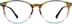 Square Glasses 4438529 in Forest