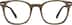 Square Glasses 4438615 in Brown