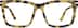 Square Glasses 4438725 in Ivory Tortoiseshell