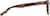 Side view of Parquet Pride Glasses 4443925 in Tortoiseshell thumbnail