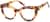 Angle view of Dahlia 4445625 in Tortoiseshell thumbnail