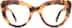 Dahlia 4445625 in Tortoiseshell