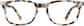 Front view of Rectangle Glasses 4445935 in Ivory Tortoiseshell thumbnail