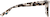 Side view of Azalea 4446535 in Tortoiseshell thumbnail