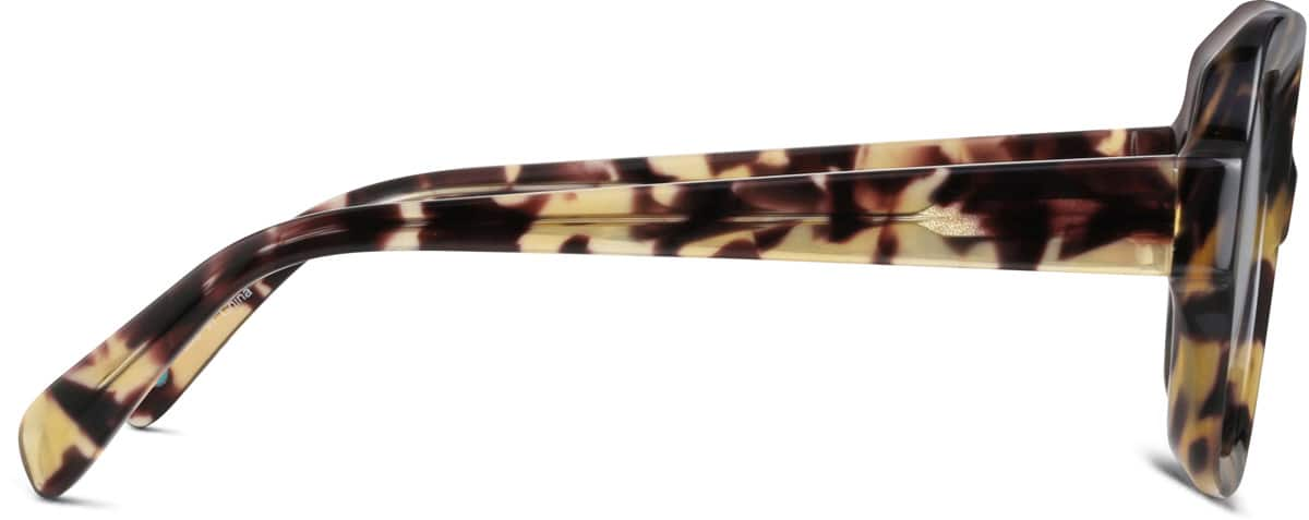 Side view of Square Glasses 4448525 in Tortoiseshell