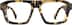 Square Glasses 4448725 in Tortoiseshell